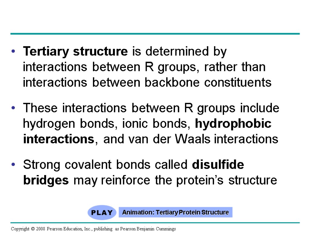 Tertiary structure is determined by interactions between R groups, rather than interactions between backbone